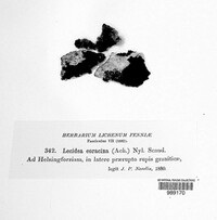 Image Associated With the Occurrence